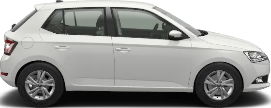 Skoda FABIA hatchback benzin סקודה פאביה הצ'בק בנזין