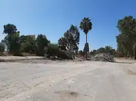 444, ישראל סוכנות חניון מכירת רכב סיב"ט