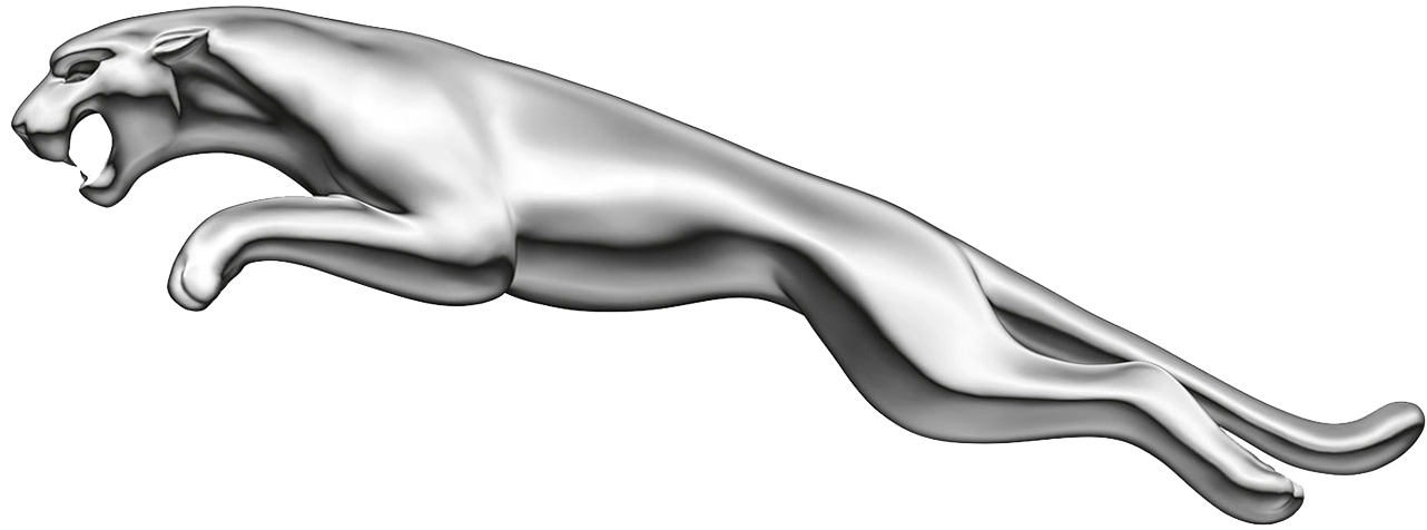 יגואר jaguar יגואר